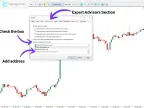 Auto MT5 to Notion Trading Journal Expert for MT5 Download – Free – [TFlab]
