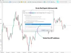 Connect Crypto.com Spot and Futures Markets to MetaTrader 5 - MT4/MT5 Resources