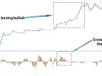 Volume Percent Oscillator MT4 Free Download | Forex Indicators Download - MetaTrader 4 Resources - MetaTrader 4 Resources