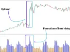 MT4 Normalized Volume Indicator Download - Free | Forex Indicator Download - MetaTrader 4 Resource