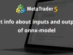 Get information about onnx-model inputs and outputs - MetaTrader 5 Script - MT4/MT5 Resources