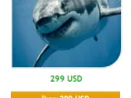 White Shark EA – [Cost $299]- For FREE White Shark EA – [Cost $299]- For FREE