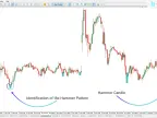 MT5 Hammer Pattern Indicator Download - Free - [Trading Search] | Forex Indicator Download - MetaTrader 5 Resources