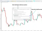 Connect CoinEX spot and futures to MetaTrader 5 – [TradingFinder] – Free