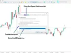 Connect Wallex Currency Pairs to MetaTrader 5 Expert - MT4/MT5 Resource