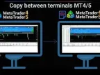 Forex Trade Copier MT4/MT5 Free Download Forex Trade Copier MT4/MT5 FREE Download