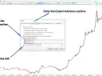 Connect KuCoin Spot Service to MT5 Download – Free | Forex Indicators Download – MetaTrader 5 Resources
