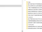 CDir (MT5) - Class for getting directory contents - MetaTrader 5 Library - MetaTrader 5 Resources