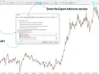 Connect BingX Spot to MT5 Service Free Download | Forex Indicator Download - MetaTrader 5 Resources