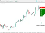 Order Book Indicators MetaTrader 4 - Download | Forex Indicators Download - MT4/MT5 Resources - MetaTrader 5 Resources