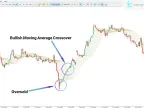 Moving Average Rainbow Indicator MT5 Free Download | Forex Indicator Download - MetaTrader 5 Resources - MetaTrader 5 Resources
