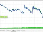 RabbitM2 - MetaTrader 5 Expert | MT5 EA Download - MetaTrader 5 Resources