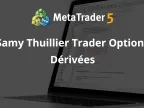 Samy Thuillier Trader Options Dérivées - MetaTrader 5 Expert