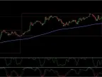 Nerpa Binary Strategy &amp;amp; Indicator FREE DownloadNerpa Binary Strategy &amp;amp; Indicator FREE Download