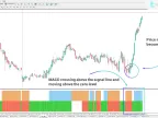 Multi-Timeframe MACD Bar Indicator Download for MetaTrader 4 - Free - MT4/MT5 Resource