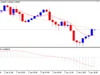 MACD No Sample - MetaTrader 5 Expert | Forex Indicator Download - MT4/MT5 Resources