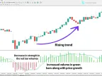 MT4 Time Segmented Volume Indicator Download - Free - [TFlab] | Forex Indicator Download - MetaTrader 4 Resources