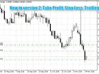 N Candles v2 - MetaTrader 5 Expert | MT5 EA Download - MetaTrader 5 Resources