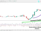 Waddah Attar MetaTrader 4 Buy and Sell Volume Indicator Download - Free - MT4/MT5 Resource