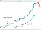 MetaTrader 5 Trigger Line Indicator Download – Free – [TFlab] – MT4/MT5 Resources