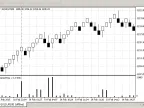 Renko Time and Candle Time Interval Indicator - MetaTrader 4 Script | Forex Indicator Download - MT4/MT5 Resource